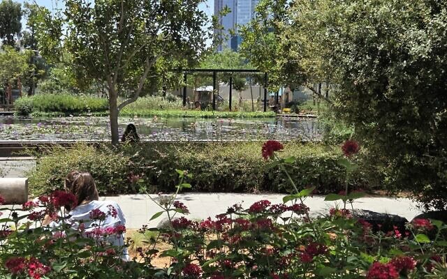 פארק "חסן ערפה", תל אביב, קיץ 2026 (צילום: אביב לביא) פארק "חסן ערפה", תל אביב, קיץ 2026 (צילום: אביב לביא)