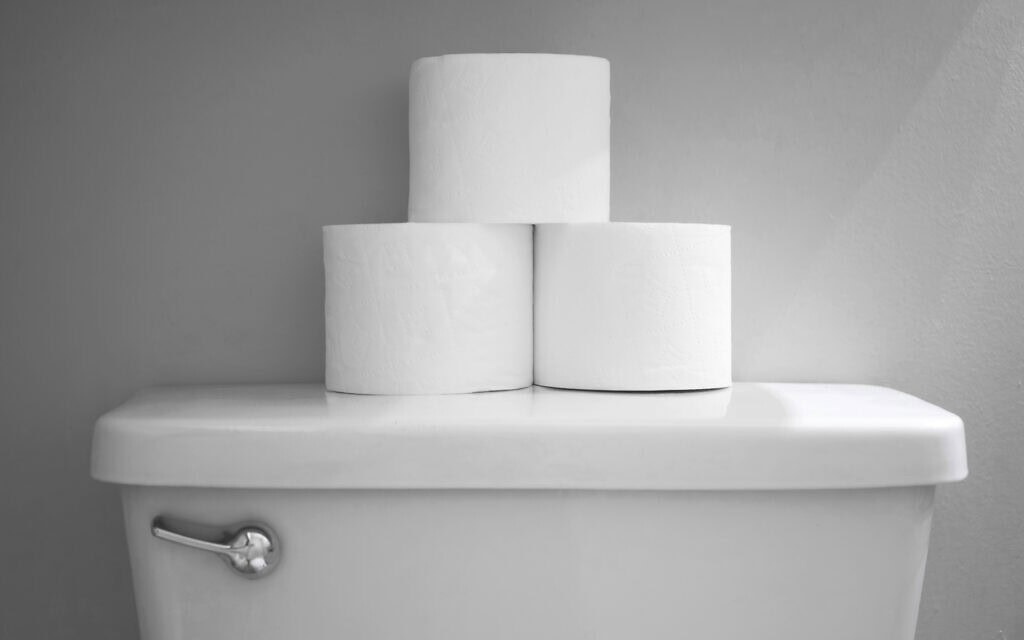 נייר טואלט בשירותים. אילוסטרציה (צילום: easycolors/iStock)