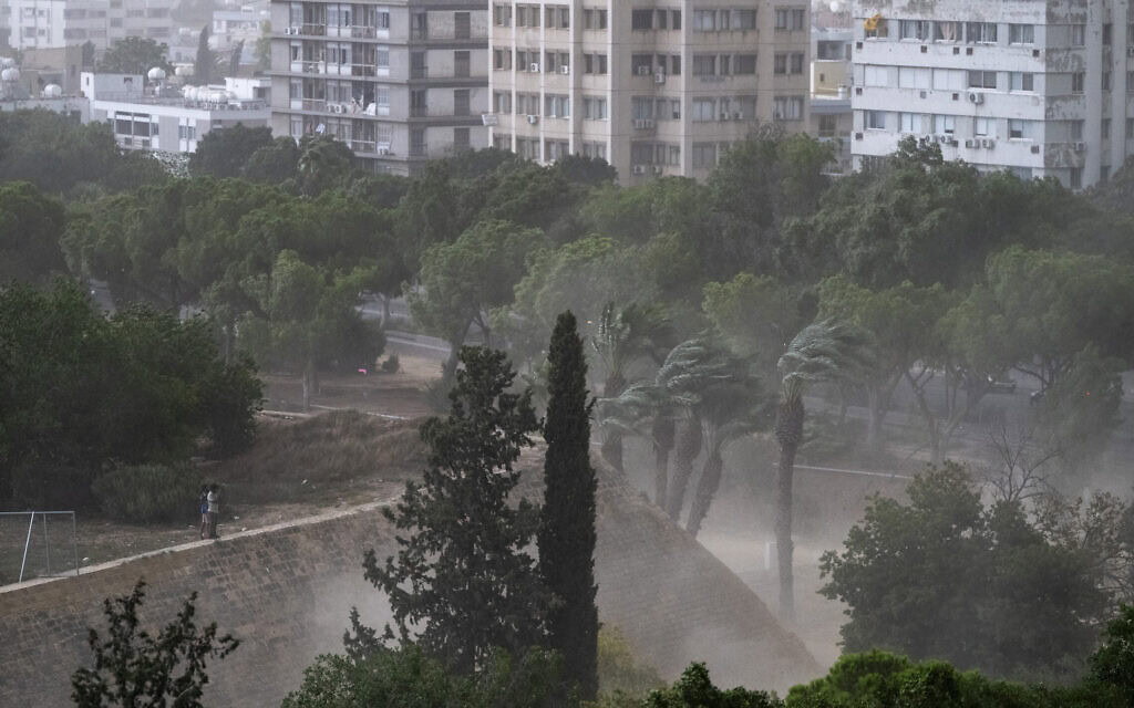 רוחות עזות במהלך סערה בניקוסיה. 29 באוגוסט 2026 (צילום: Jewel SAMAD / AFP) רוחות עזות במהלך סערה בניקוסיה. 29 באוגוסט 2026 (צילום: Jewel SAMAD / AFP)