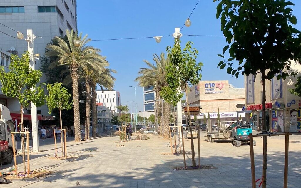 עצים שניטעו לאחרונה בחזית תחנת הרכבת בבאר שבע, קיץ 2026 (צילום: דוברות עיריית באר שבע)