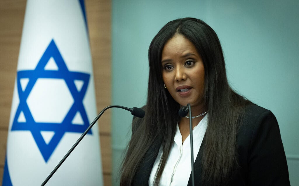 פנינה תמנו שטה בכנסת בירושלים, 29 ביולי 2025 (צילום: חיים גולדברג/פלאש90) פנינה תמנו שטה בכנסת בירושלים, 29 ביולי 2025 (צילום: חיים גולדברג/פלאש90)