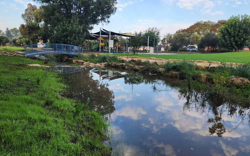 נחל מאור בחורף (צילום: עודד רהב) נחל מאור בחורף (צילום: עודד רהב)