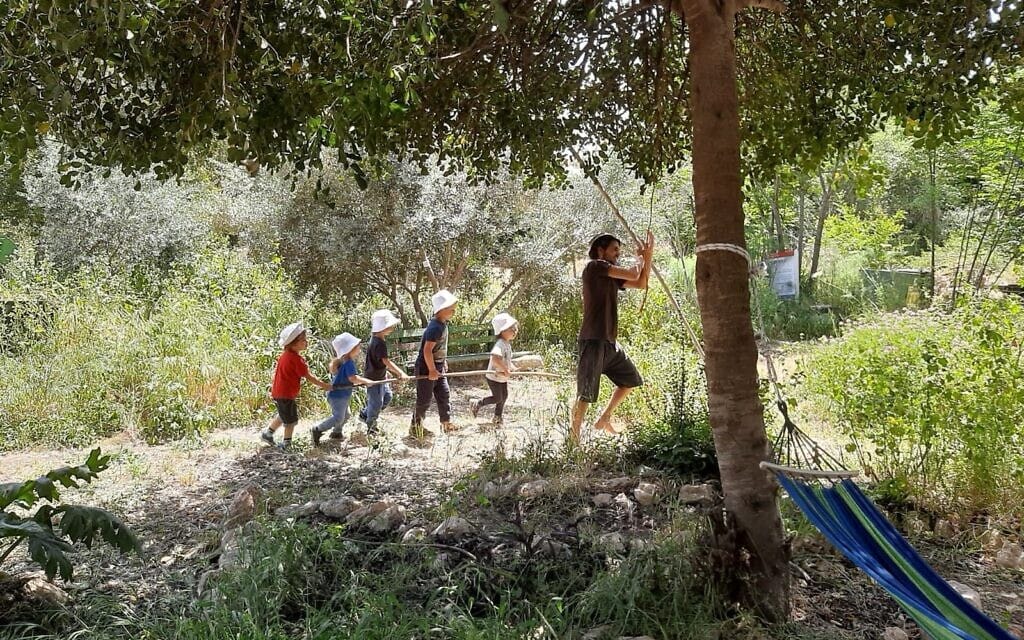 פעילות עם גני יער בבוסתניה (צילום: אסתר אנא) פעילות עם גני יער בבוסתניה (צילום: אסתר אנא)