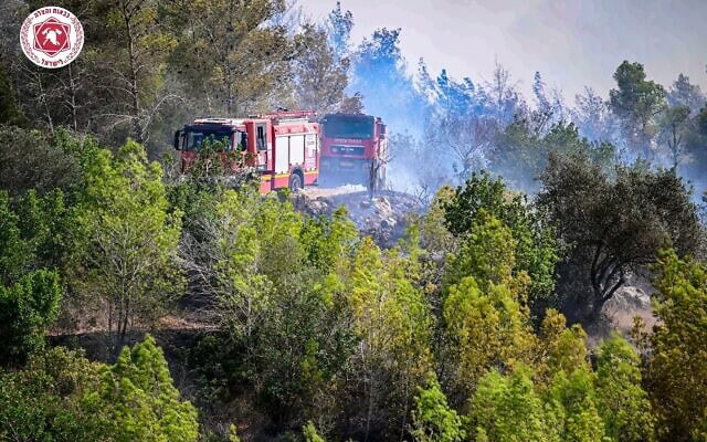 צוותי כבאות פועלים לכיבוי שריפה ביער חרובית. 26 בספטמבר 2026 (צילום: כבאות והצלה לישראל) צוותי כבאות פועלים לכיבוי שריפה ביער חרובית. 26 בספטמבר 2026 (צילום: כבאות והצלה לישראל)