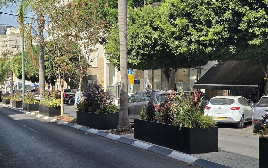 אדניות שהחליפו את הדשא הסינתטי ברחוב סוקולוב בהרצליה, אוקטובר 2026 (צילום: אביב לביא) אדניות שהחליפו את הדשא הסינתטי ברחוב סוקולוב בהרצליה, אוקטובר 2026 (צילום: אביב לביא)