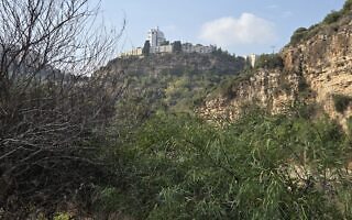 טיול בנחל גיבורים, חיפה, אוקטובר 2026 (צילום: אביב לביא) טיול בנחל גיבורים, חיפה, אוקטובר 2026 (צילום: אביב לביא)