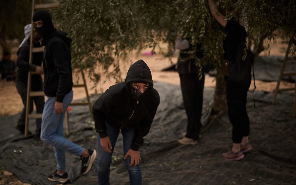 צעיר פלסטיני עוקב אחר תנועת כוחות ישראליים במהלך מסיק זיתים, בעקבות תקיפה של מתנחלים בכפר אבו פלאח שבגדה המערבית. 16 באוקטובר 2026 (צילום: AP Photo/Leo Correa) צעיר פלסטיני עוקב אחר תנועת כוחות ישראליים במהלך מסיק זיתים, בעקבות תקיפה של מתנחלים בכפר אבו פלאח שבגדה המערבית. 16 באוקטובר 2026 (צילום: AP Photo/Leo Correa)