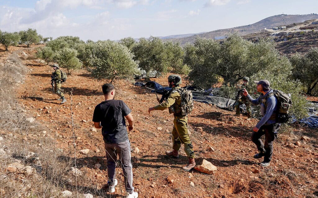 כוחות ביטחון ישראליים מפנים פלסטינים ופעילי שמאל ממטעי זיתים במהלך עונת מסיק הזיתים בכפר ביתא שליד שכם, בגדה המערבית. 2 באוקטובר 2026 (צילום: פלאש90)