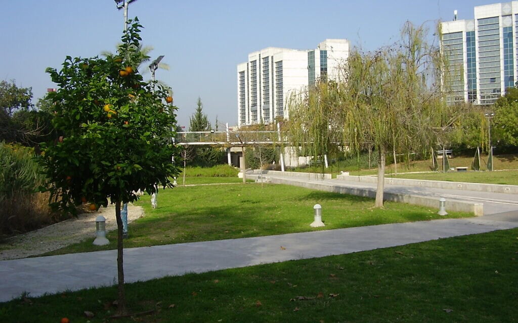 פארק האחדות באוניברסיטת בר אילן. דצמבר 2011 (צילום: ד"ר אבישי טייכר, מתוך אתר פיקיויקי) פארק האחדות באוניברסיטת בר אילן. דצמבר 2011 (צילום: ד"ר אבישי טייכר, מתוך אתר פיקיויקי)