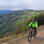 גד פוקס גד פוקס