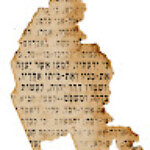 דורון לוקס דורון לוקס