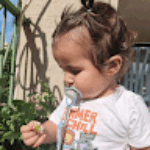 חן סיני חן סיני