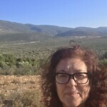 מאיה שטיין מאיה שטיין