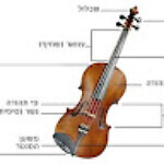 DAVID CHOEN DAVID CHOEN