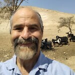 ד"ר יורם שורק ד"ר יורם שורק